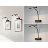 Set of 2 Dimmable Picture Lights with Flexible Arm Matte