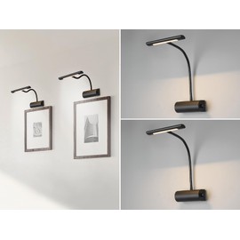 Set of 2 Dimmable Picture Lights with Flexible Arm Matte Black Width 18 cm