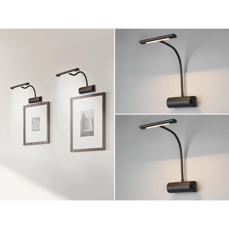 Set of 2 Dimmable Picture Lights with Flexible Arm Matte