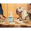 MRS. MEYER'S CLEAN DAY Pet Multi-Surface Cleaner, Coconut Leaf Scent,