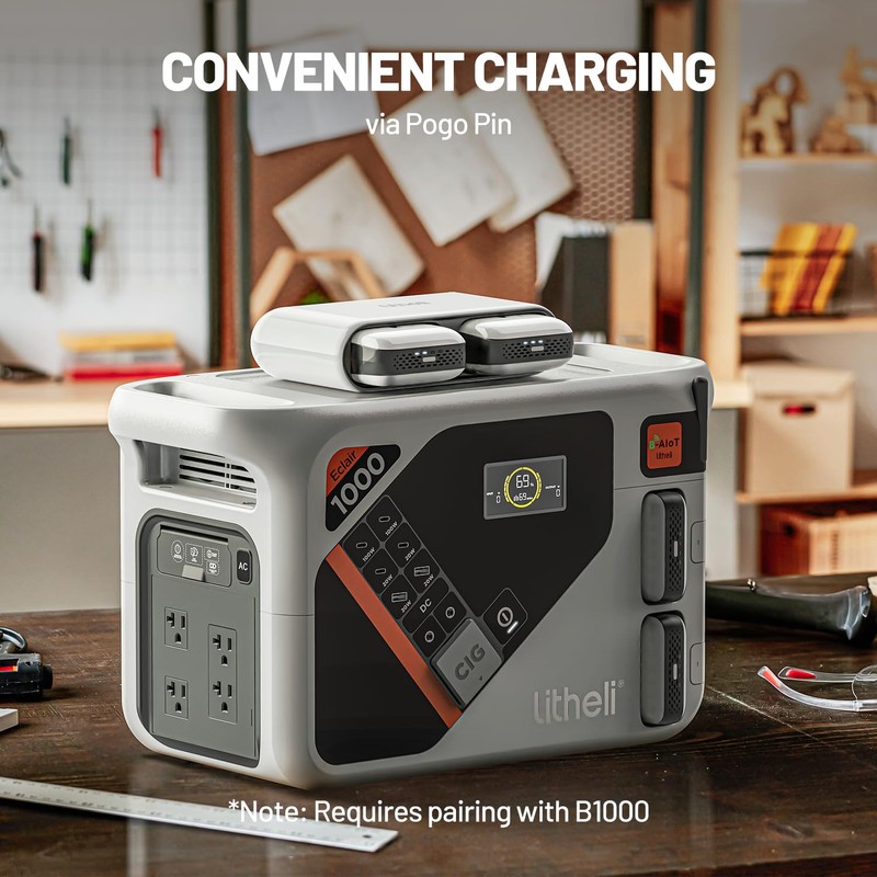 Litheli Charger for U20 Battery – 50-Minute Fast Dual Charging,