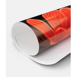 Title Fight Shed Poster - 24x36 inches