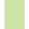 100 Sheets Coloured Printer Paper/Colour Photocopier Paper Colour: Pastell Green