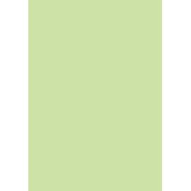100 Sheets Coloured Printer Paper/Colour Photocopier Paper Colour: Pastell Green