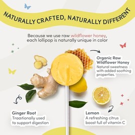 Mommabear Piruleta Natural Aliviar Náuseas Embarazo Mareo Por Movimiento Hecha Mano Piruletas Orgánicas Miel Limón Jengibre Chupones Malestar Estomaca