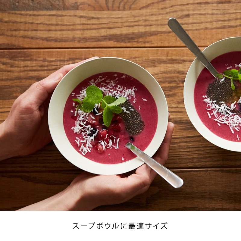 ideaco Medium Bowl Black 5.9 inches (15cm) usumono Bowl