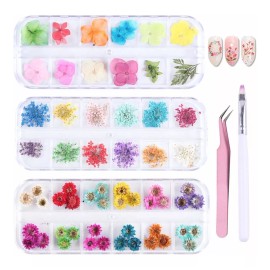 Phaeton 36 Colores De Flores Secas En 3d Para Uñas, Calcoman