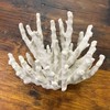 Abbott Collection 20-SEASHORE/25 Large White 3D Starfish Decorative Resin Figurine