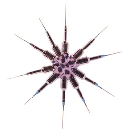 Healeved 5pcs Nail Art Brush Set Dual-ended Nail Liner Pens for Creative Designs Portable Drawing Tools for Diy Manicure and Art Supply