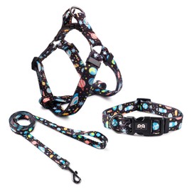 QQPETS Dog Harness Collar Leash - No Pull Pet Adjustable Back Clip Halter Basic Collar Heavy Duty 5FT Anti-Twist Leash for Extra Small Puppy Medium Large Breed Training (XS,Space)