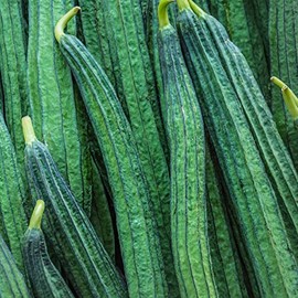 Gourd Seeds - Yu Sing - Hybrid - 1 Oz ~200 Seeds - Non-GMO, F1 Hybrid - Asian Garden Vegetable