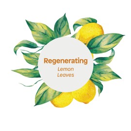 ATTITUDE Body Wash, EWG Verified, Plant- and Mineral-based Ingredients, Vegan and Cruelty-free Shower Soap, Lemon Leaves, 16 Fl Oz