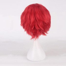 Eileen Fluffy Hair Wig, Universal Type, Cosplay, Dark Red, Unisex, Heat Resistant, Fiber Costume, Event Wig with Net