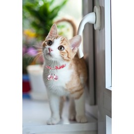 Cat & Dog Collar Bell, Pack of 2, Extra Loud Dog Bell for Pet Tracking & Saving Wildlife, Birds, Durable Iron Split Ring & Lobster Bell Clip (2 Piece, Silver)