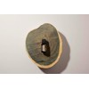doTERRA Guaiacwood - Calming Oil Helpful for Meditation - 15ml