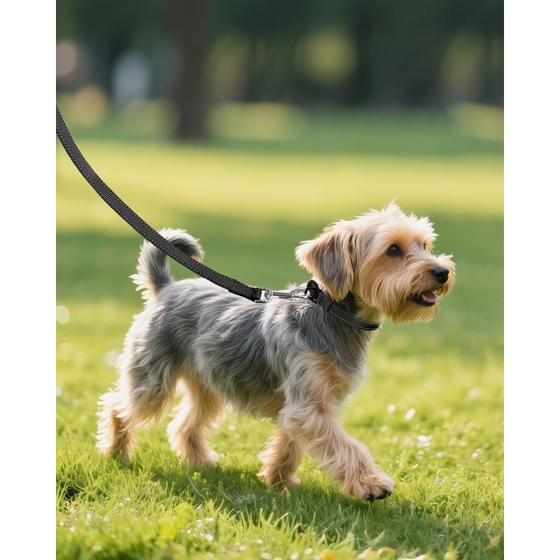 Joytale Small Dog Collar, Reflective and Adjustable Nylon Collar with