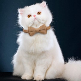 Cat Collar, Cat Collar, Puppy, Stray Tag, Includes Ribbon, Safety Buckle, Cute, Adjustable, Lightweight, Pet Collar, Cloth, Simple, 4 Colors, Brown, 1 Pack