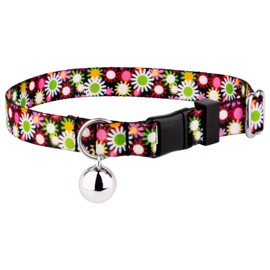 Country Brook Petz - Daisy Fields Cat Collar - Floral Collection Featuring Charming Designs