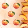 Peach Air Freshener Hanging Design Great For Car, Home &