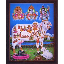 Handicraft Store Lord Bharma, Vishnu and Shiva Giving Blessing to Kamdhenu Cow, Poster Painting with framing, Must for Hindu Religious and Worship Purpose
