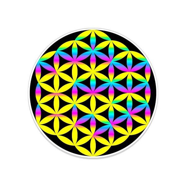 Flower of Life Colorful - 8" Vinyl Sticker - for