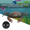 Funny High Simulation Remote Control Infrared Animal Crab Kid Trick