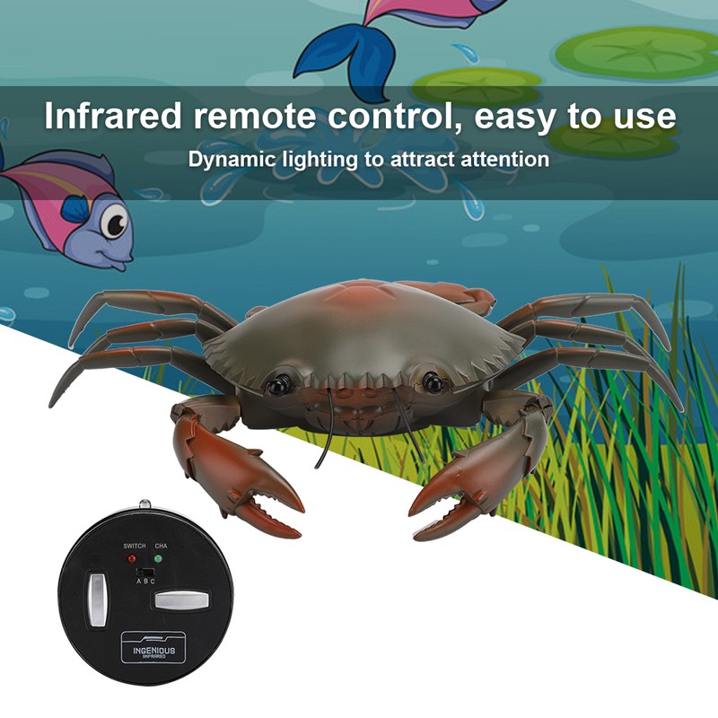 Funny High Simulation Remote Control Infrared Animal Crab Kid Trick