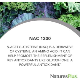 Naturesplus Pro Nac 1200 Mg N-acetil-cisteína 60 Cápsulassfn                                                                                          