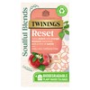 Twinings Soulful Blends Reset Inspired by Ayurveda -Juicy Peach &