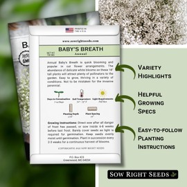 Sow Right Seeds - Annual Baby’s Breath Seeds for Planting - Non-GMO White Flowers Heirloom Packet with Instructions to Plant in Your Home Garden - Snow Like Blooms - Fresh and Dried Cut Flower (1)