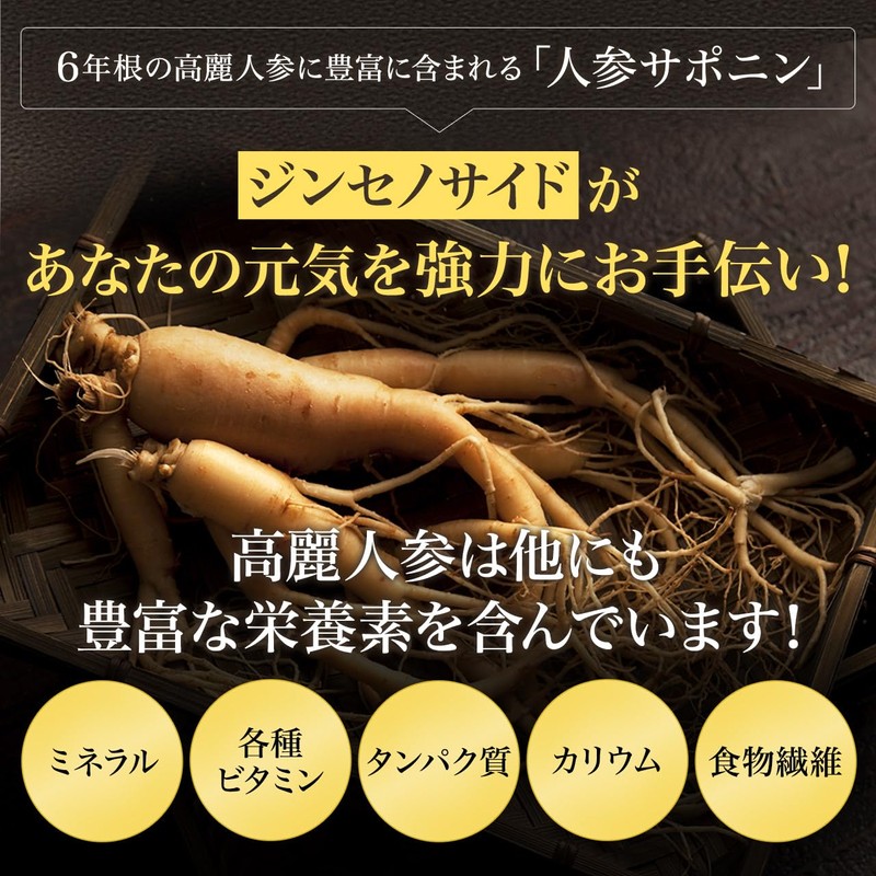 6年根・高麗紅参エキスパワースティック 10ml×10本(3袋セット) 錦山人参農協 ／ 高麗人参エキス 朝鮮人参 紅人参 紅参 ginseng