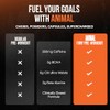 Animal Animal fury pre workout powder supplement - energize your
