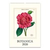 Cavallini 2026 Botanica Wall Calendar, 13x19 Inches, 12 Page-A-Month Hanging