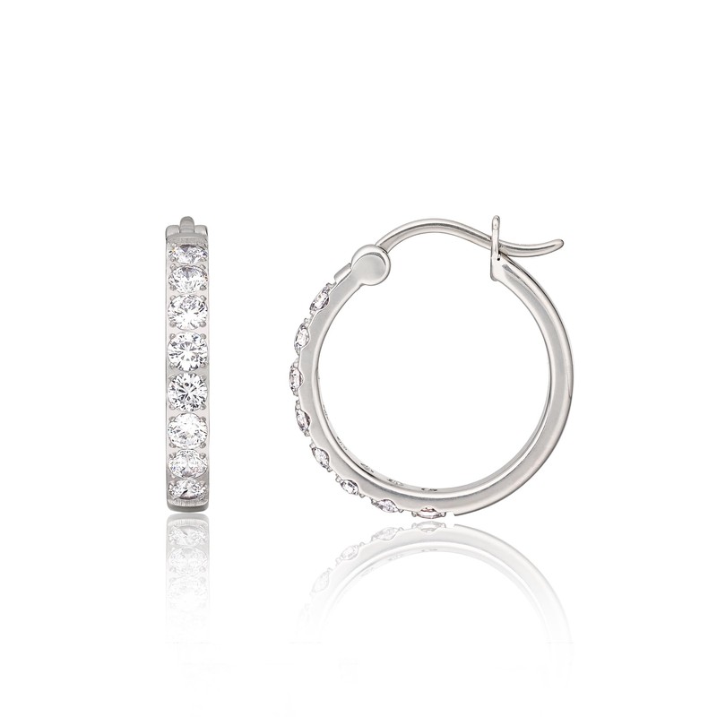 Limerencia G23 Pure Titanium Hypoallergenic Hoop Earrings for Women Girls