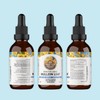 Mullein Leaf Extract for Lungs - Made in UK -