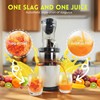 Cold Press Juicer Machines Slow Masticating High Yield Multi-Functional for