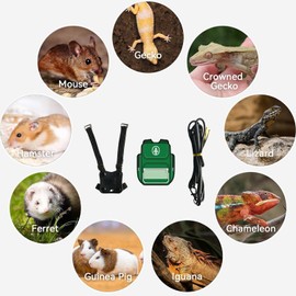 Bearded Dragon Harness Leash Soft Leather Harness with Backpack Patch Adjustable Strap Outside Walk Training Leash for Reptile Lizard Amphibians (Green)