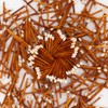 River Birch Espresso Brown White Tip Decorative Matches | 200+