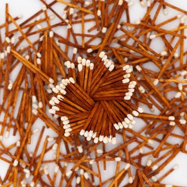 River Birch Espresso Brown White Tip Decorative Matches | 200+ Small Premium Wooden Safety Matches | Replacement Refill Matchsticks | Lighting | Home Decor