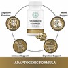 2nd Springs 2nd Springs 7 Organic Mushroom Complex + Tri-Core