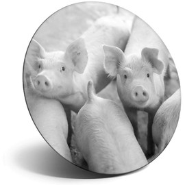 Destination Vinyl ltd Magnet for Refrigerator, Fridge BW - Cute Pig Farm Animal Fun for Office, Cabinet and Whiteboard, Magnetic Stickers, 38269