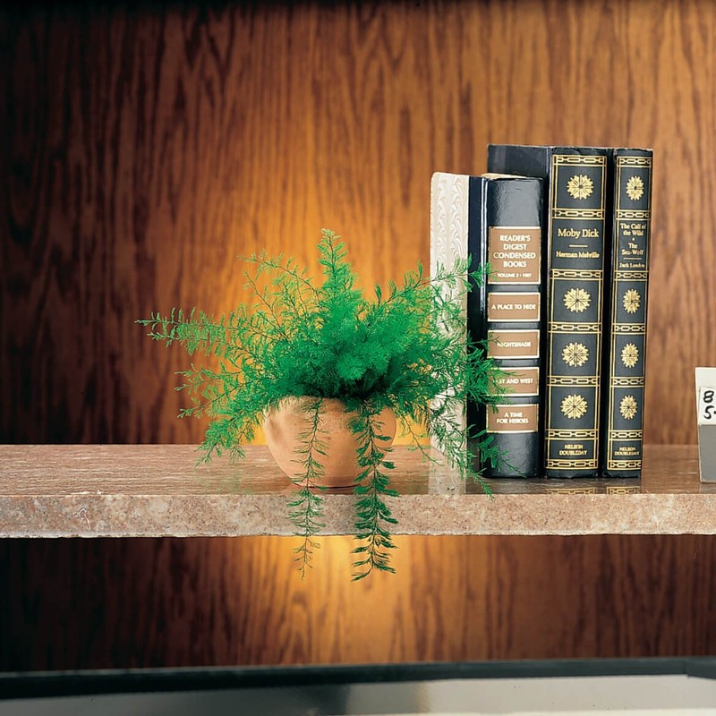 Mysterious Air Fern, Set of 2 – Water & Soil