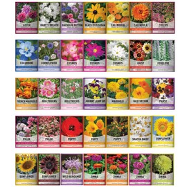 Gardeners Basics, Flower Seeds Packets for Planting 35 Individual Varieties Perennial, Annual, Wildflower Seeds for Planting Outdoors for Bees and Butterflies - Semillas de Flores Hermosas