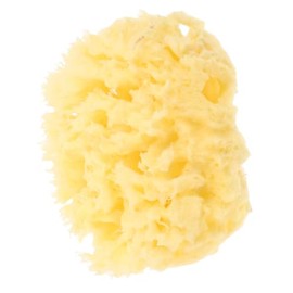 Esponja Baño Bebés Natural Miel Absorbente Limpieza Baños Niño Niña Diseño Panal Uso Seguro