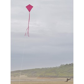 In the Breeze Pink Diamond Kite, 30-Inch, 30 Inch Diamond Kite