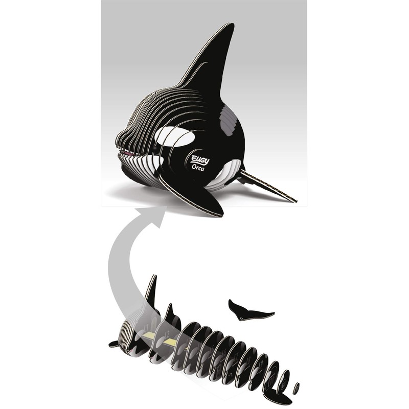 EUGY 3D Orca Model
