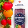 Sanpellegrino Italian Sparkling Drink Melograno And Arancia, Sparkling Orange And