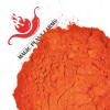 Magic Plant Farms Peter Pepper Chili Powder 1lb | Willy