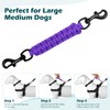 PetBonus Dog Collar Safety Clip, Handmade Backup Safety Strap for