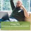 Natur Total 120 Capsules Chaga Mushroom Vital Mushroom (Inonotus Obliquus)